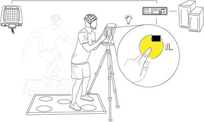 Constitutive and Stress-Induced Psychomotor Cortical Responses to Compound K Supplementation